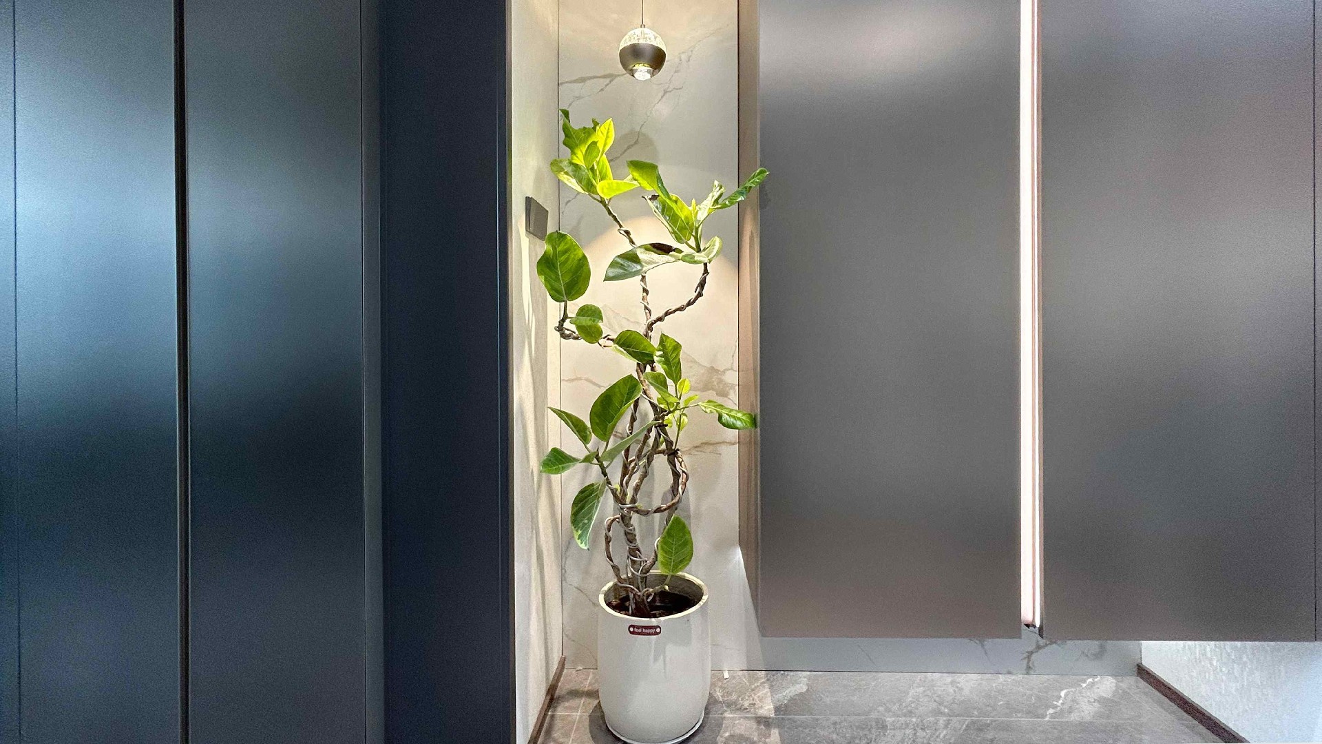 其他枫华国际现代简约