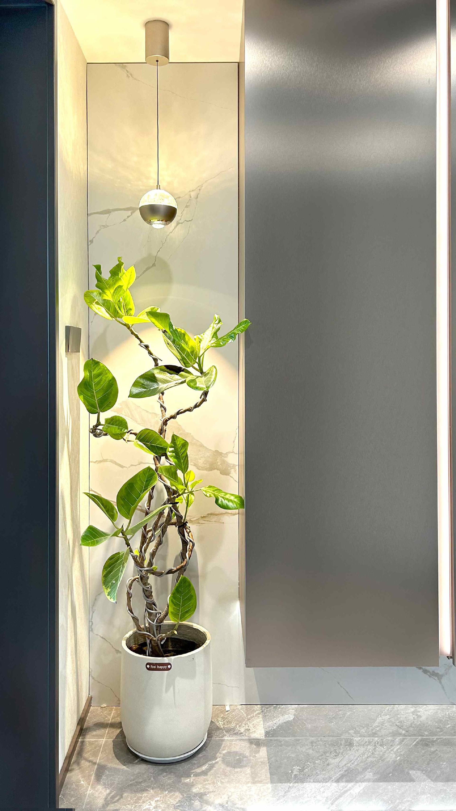 其他枫华国际现代简约