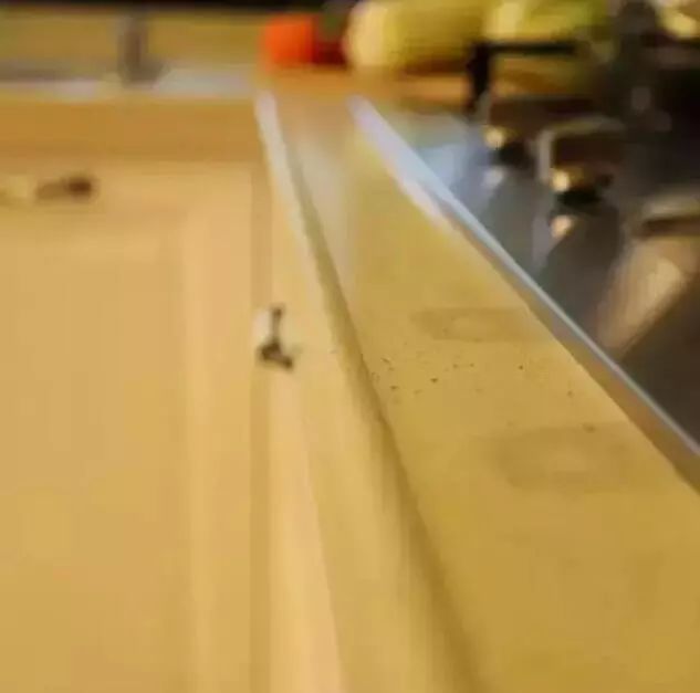 厨房装修5.jpeg 厨房装修5.jpeg